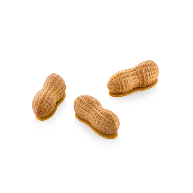 Arachide 30 72 x 29  H27mm - 100ml x 12 + kutter 