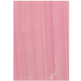 Rosa rektangel hvit sjokolade - 315stk 3,5 x 2,5cm 