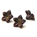 Mørke sjokoladeblomster ø30mm - 76stk