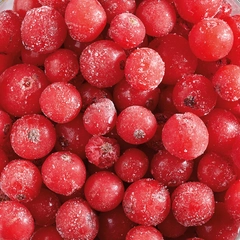 Rips singelfryst Polen