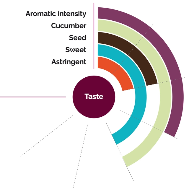 Fruktpure vannmelon 100% Vietnam 