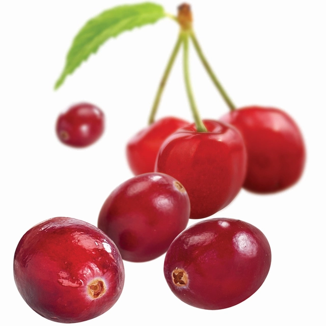 Fruktpure tranebær & morello 100% Serbia, Canada 