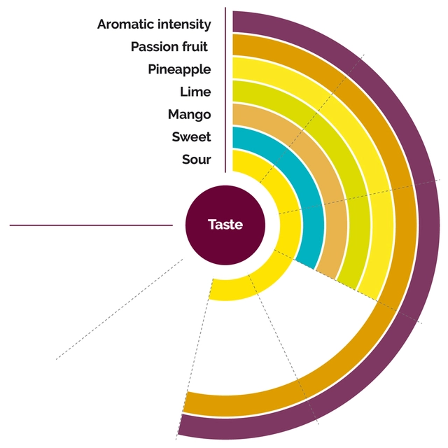 Fruktpure tropisk frukt 100% Costa Rica, India, Peru og Mexico 