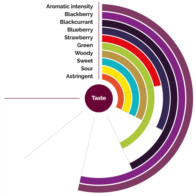 Fruktpure skogsbær 100% Polen, Frankrike, Chile m.fl. 