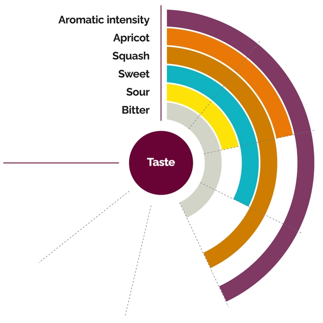 Fruktpure papaya 100% Peru og India 