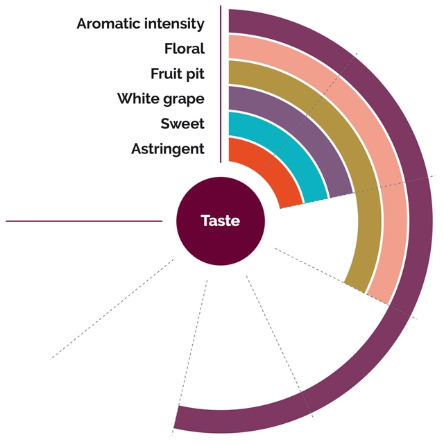 Fruktpure Litchi 100% Madagaskar og Taiwan (Kina) 