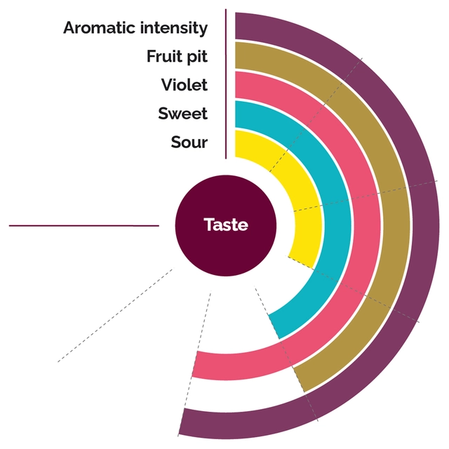 Fruktpure moreller 100% Tyskland og Bulgaria 