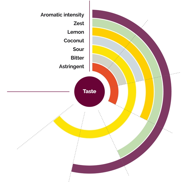 Fruktpure lime 100% Brasil og Mexico 