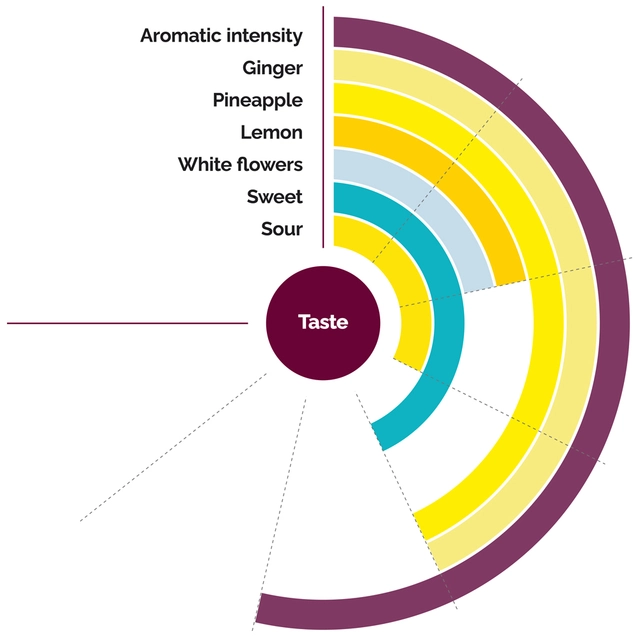 Fruktpure ingefær miks 100% Costa Rica, Kina, Italia og Fiji 