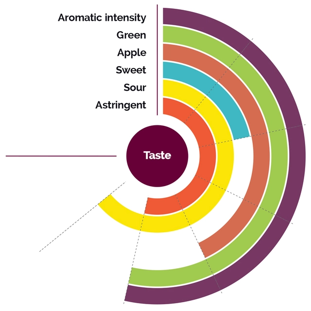 Fruktpure kiwi 100% Frankrike 