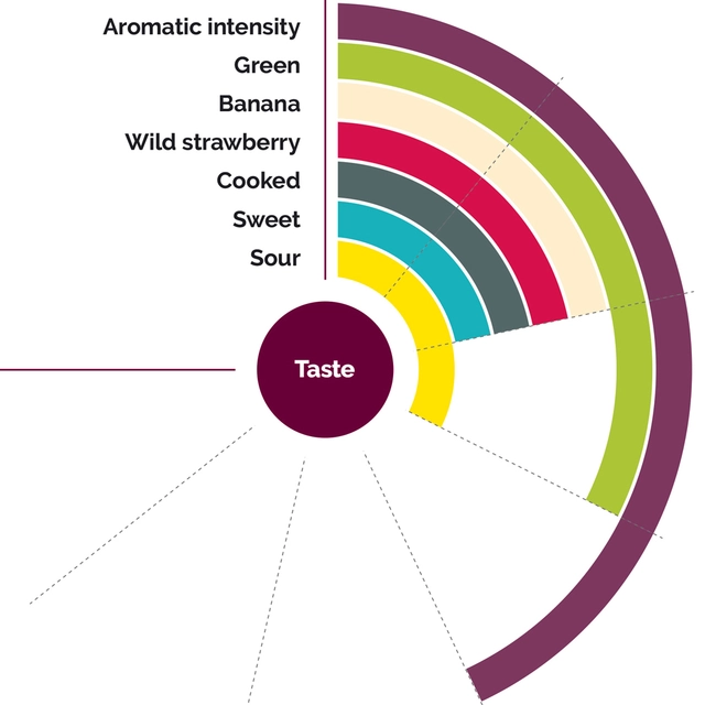 Fruktpure jordbær 100% Serbia, Bulgaria, Polen og Spania. 