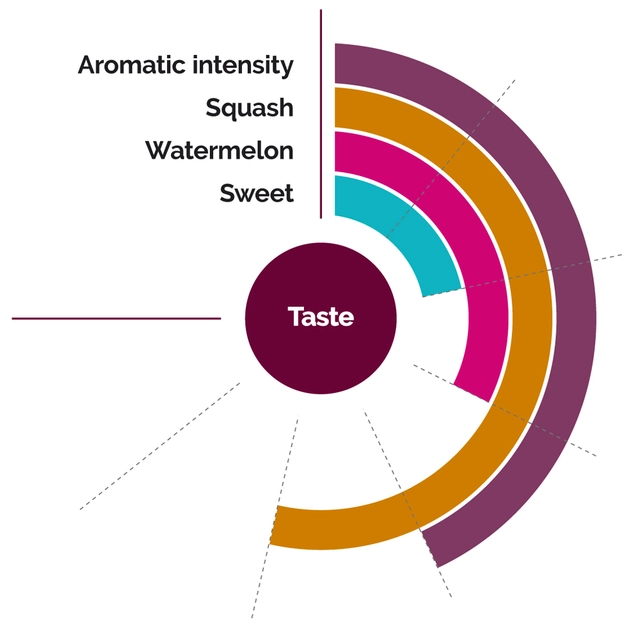 Fruktpure Cantaloupemelon 100% Frankrike, Italia og Marokko 