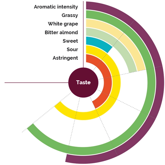 Fruktpure grønt eple 97% Frankrike 