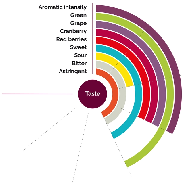 Fruktpure granateple 100% Spania og Israel 