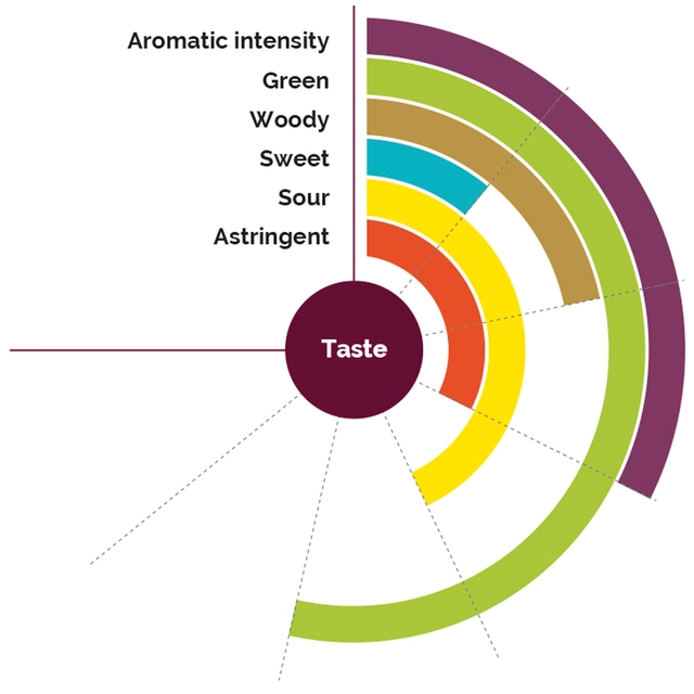 Fruktpure blåbær 100% Polen, Serbia, Montenegro, Latvia 