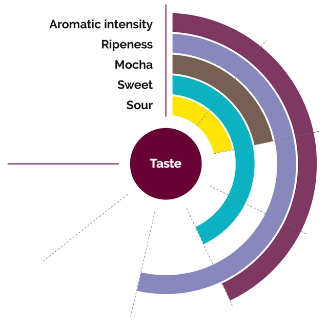 Fruktpure banan 100% Ecuador 