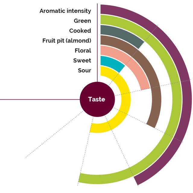 Fruktpure aprikos (Bergeron) 100% Frankrike 