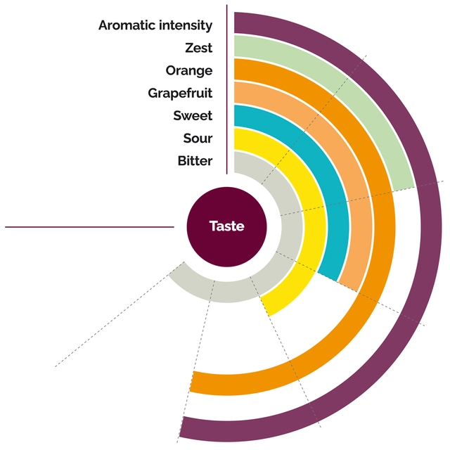 Fruktpure appelsin 100% Morocco, Brasil, Spania 