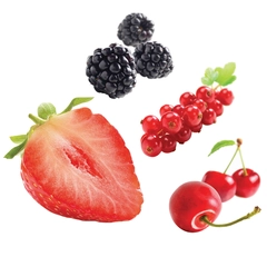 Skogsbær coulis 83% bær - Spania, Chile, Serbia m.fl.