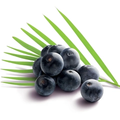 Fruktpure acai Brasil