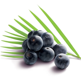 Fruktpure acai Brasil
