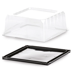 Picasso kakeblister 120 x 120 x H45/65mm