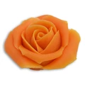 Marsipanrose orange