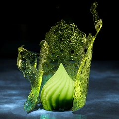 MAGIC SUGAR Lag kreasjoner med sukker