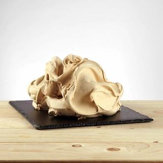 SALTED CARAMEL SPRINT