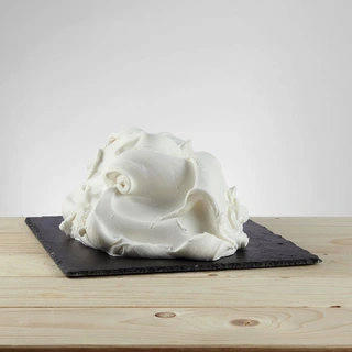 BASE EVO VITTORIA SUPER 100