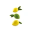 Limone &amp; Lime 120 88 x 61 x H44mm - 120ml x 4