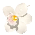 Orkidé blomst oppsats tragant - 18stk Hvit, størrelse: 11cm