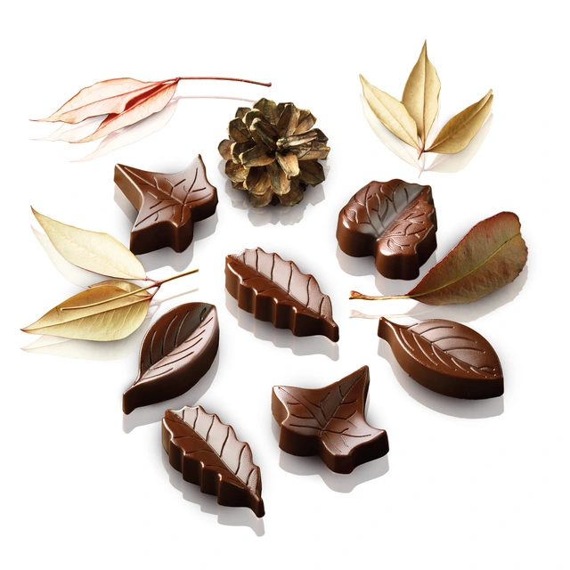 Konfektform silikon - SCG10 Nature 51 x 23 x H14mm - 10ml x 8 