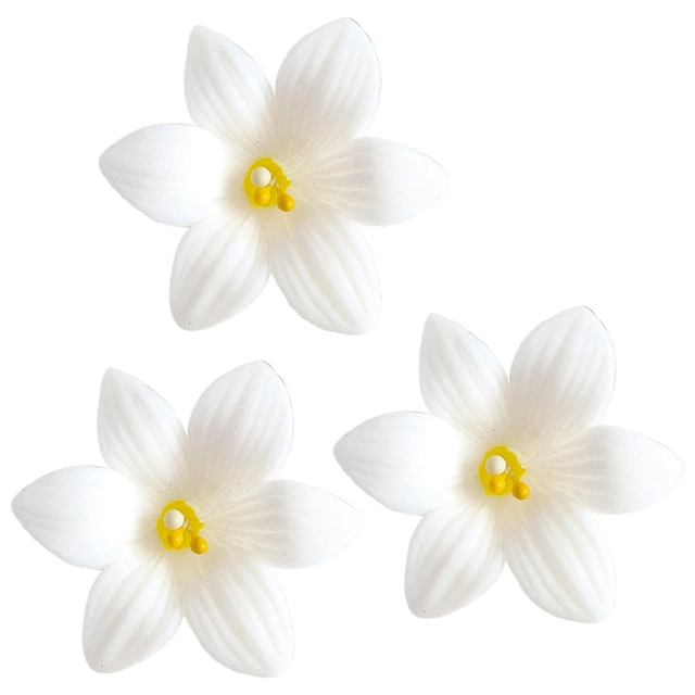 Lilje i tragant 4,8cm - 70stk 