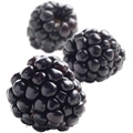 Fruktpure bjørnebær 100% Chile, Frankrike, Serbia og Albania