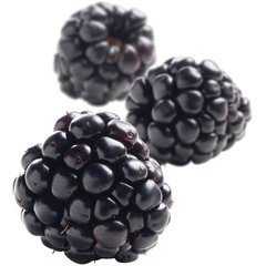 Fruktpure bjørnebær 100% Chile, Frankrike, Serbia og Albania