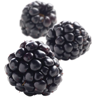 Fruktpure bjørnebær 100% Chile, Frankrike, Serbia og Albania