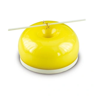 Smart glaze sitron Teknisk glasur, glossy, ekte smak