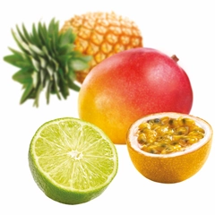 Fruktpure tropisk frukt 100% Costa Rica, India, Peru og Mexico