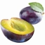 Fruktpure lilla plomme 100% Serbia