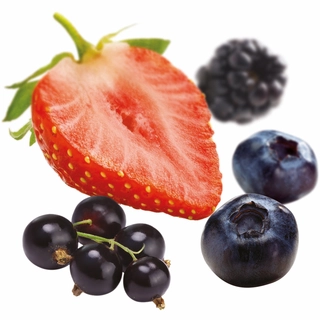 Fruktpure skogsbær 100% Polen, Frankrike, Chile m.fl.