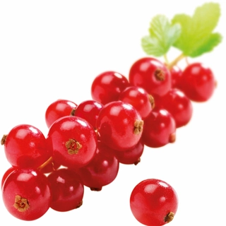 Fruktpure rips 100% Frankrike og Polen