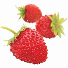 Fruktpure markjordbær 100% Marokko og Polen