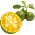 Fruktpure calamansi 100% Vietnam