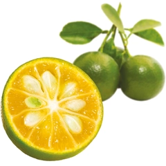 Fruktpure calamansi 100% Vietnam