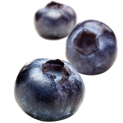 Fruktpure blåbær 100% Polen, Serbia, Montenegro, Latvia