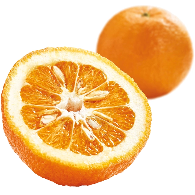 Fruktpure appelsin 100% Morocco, Brasil, Spania 