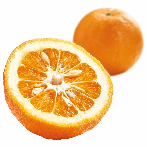 Fruktkonsentrat appelsin 