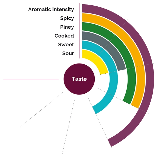 Fruktpure mango 100% - 6 x 1kg India 