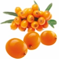 Fruktpure tindved / havtorn 100% - 6x1kg Latvia